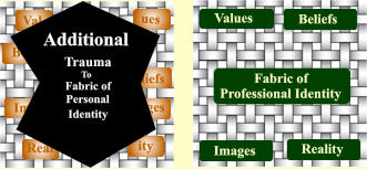 Fabric of  Professional Identity Values Images Beliefs Reality Val ues Im ages ity Real Be liefs Trauma To Fabric of Personal Identity Additional